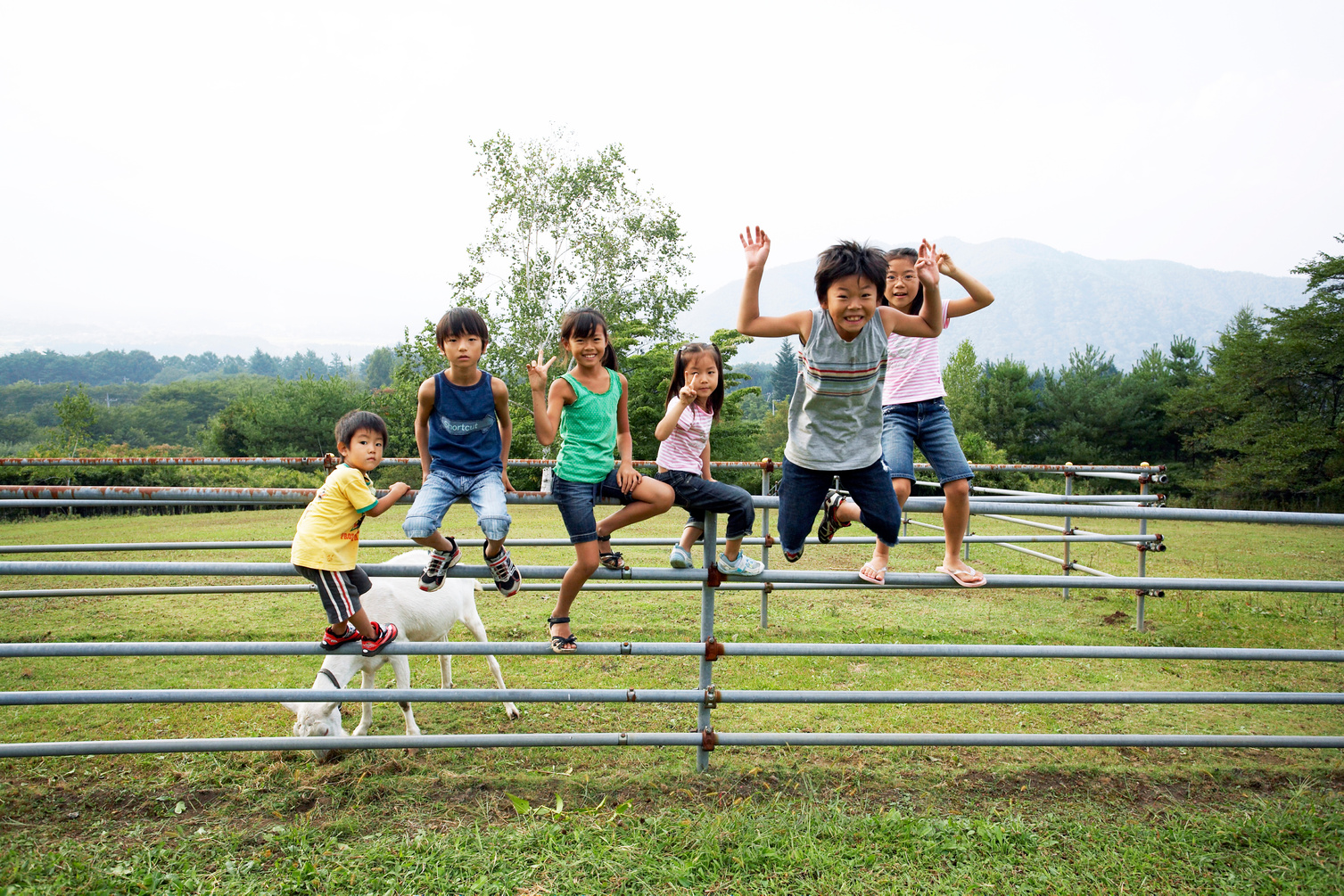 A group of Japanese children, smiling